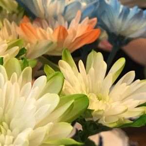 Meet your Posher, Penelope